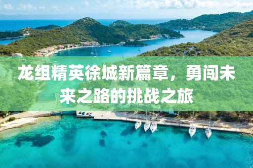 龙组精英徐城新篇章，勇闯未来之路的挑战之旅