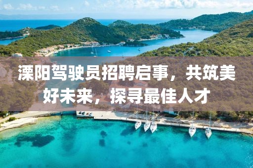 溧阳驾驶员招聘启事，共筑美好未来，探寻最佳人才