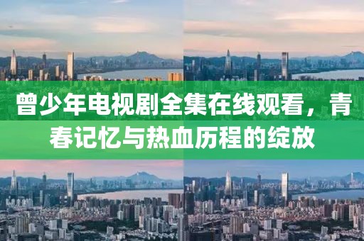 曾少年电视剧全集在线观看，青春记忆与热血历程的绽放