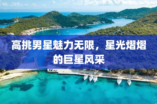 高挑男星魅力无限，星光熠熠的巨星风采