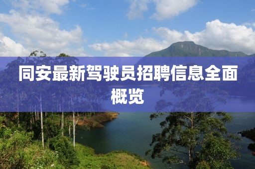 同安最新驾驶员招聘信息全面概览