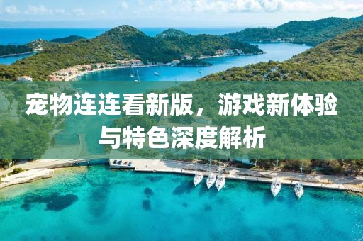 宠物连连看新版，游戏新体验与特色深度解析