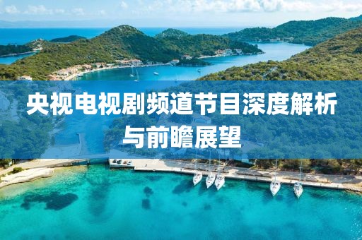 央视电视剧频道节目深度解析与前瞻展望