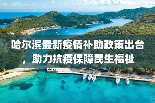 哈尔滨最新疫情补助政策出台，助力抗疫保障民生福祉