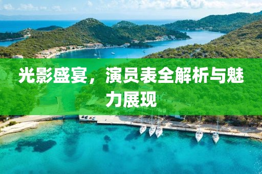 光影盛宴，演员表全解析与魅力展现