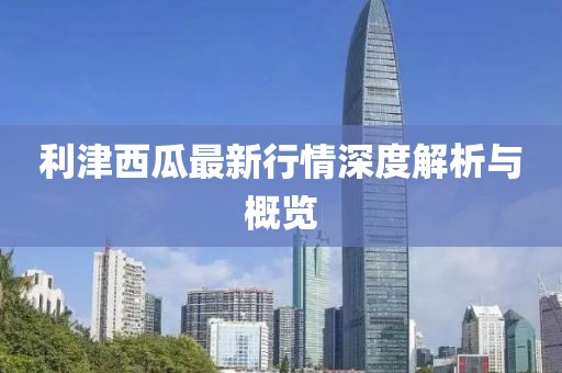 夏了南城