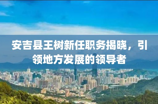 安吉县王树新任职务揭晓，引领地方发展的领导者