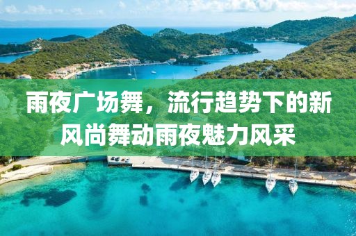 雨夜广场舞，流行趋势下的新风尚舞动雨夜魅力风采