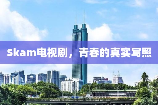 Skam电视剧，青春的真实写照