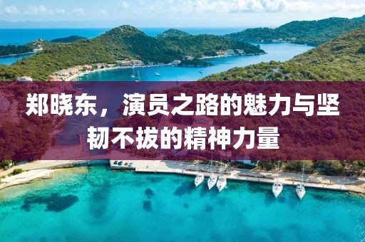郑晓东，演员之路的魅力与坚韧不拔的精神力量