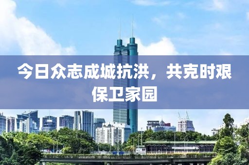 今日众志成城抗洪，共克时艰保卫家园