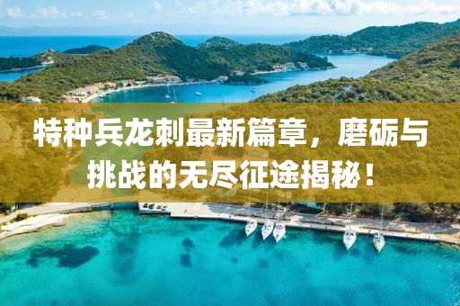 特种兵龙刺最新篇章，磨砺与挑战的无尽征途揭秘！
