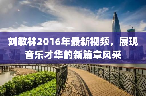 刘敏林2016年最新视频，展现音乐才华的新篇章风采