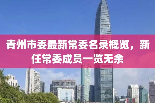 青州市委最新常委名录概览，新任常委成员一览无余
