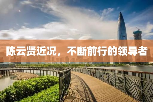 陈云贤近况，不断前行的领导者