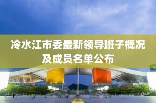 冷水江市委最新领导班子概况及成员名单公布