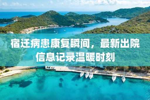 宿迁病患康复瞬间，最新出院信息记录温暖时刻