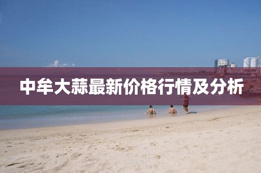 中牟大蒜最新价格行情及分析