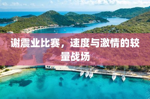 谢震业比赛，速度与激情的较量战场