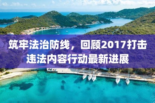 筑牢法治防线，回顾2017打击违法内容行动最新进展