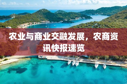 农业与商业交融发展，农商资讯快报速览