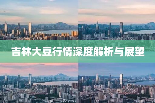 吉林大豆行情深度解析与展望