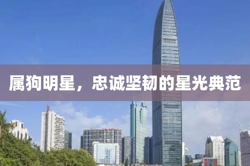 属狗明星，忠诚坚韧的星光典范