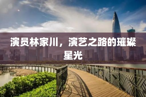 演员林家川，演艺之路的璀璨星光