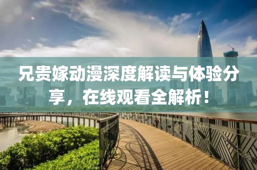 兄贵嫁动漫深度解读与体验分享，在线观看全解析！