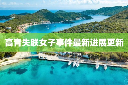 高青失联女子事件最新进展更新