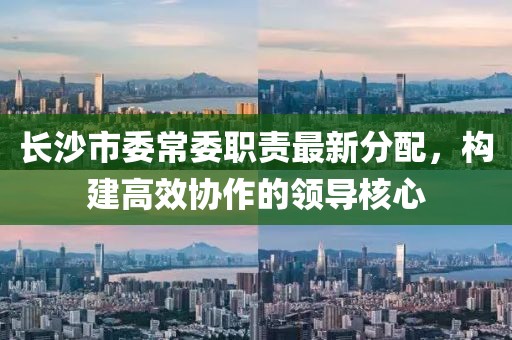 长沙市委常委职责最新分配，构建高效协作的领导核心