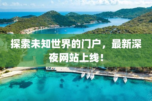 探索未知世界的门户，最新深夜网站上线！
