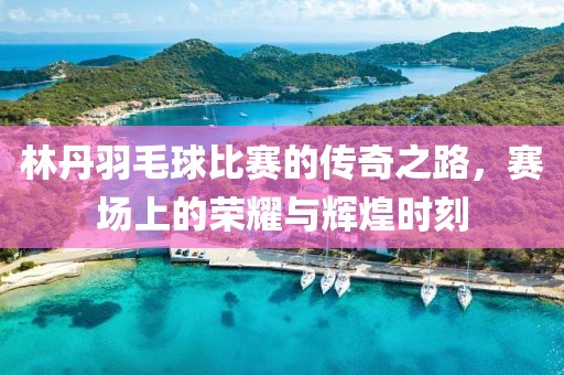 林丹羽毛球比赛的传奇之路，赛场上的荣耀与辉煌时刻