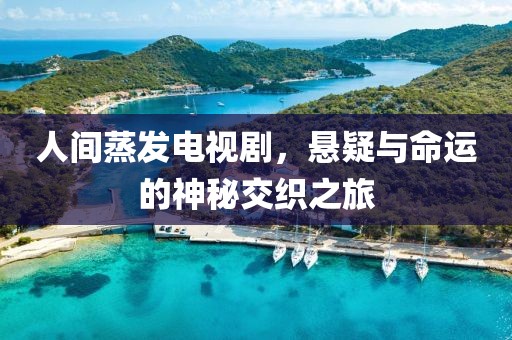 人间蒸发电视剧，悬疑与命运的神秘交织之旅