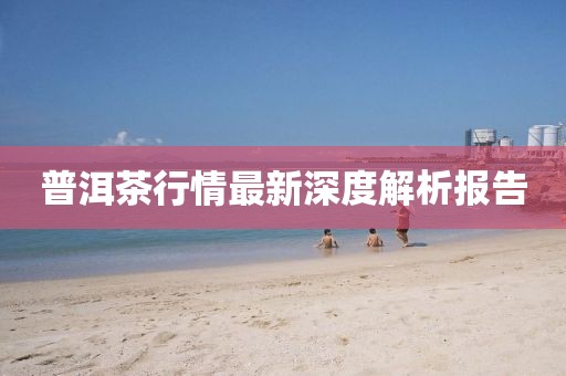 普洱茶行情最新深度解析报告