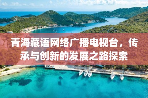 青海藏语网络广播电视台，传承与创新的发展之路探索
