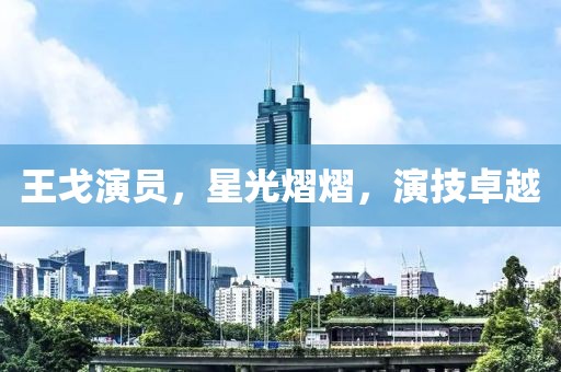 王戈演员，星光熠熠，演技卓越