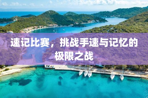 速记比赛，挑战手速与记忆的极限之战