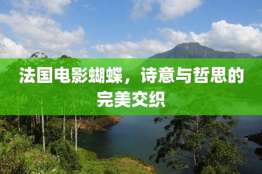 法国电影蝴蝶，诗意与哲思的完美交织
