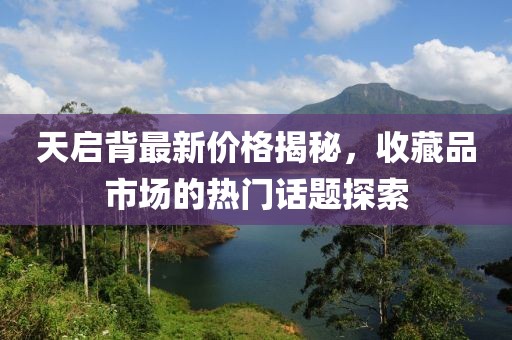 天启背最新价格揭秘，收藏品市场的热门话题探索