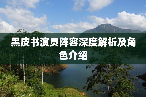 黑皮书演员阵容深度解析及角色介绍