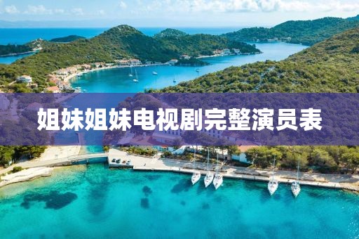 姐妹姐妹电视剧完整演员表
