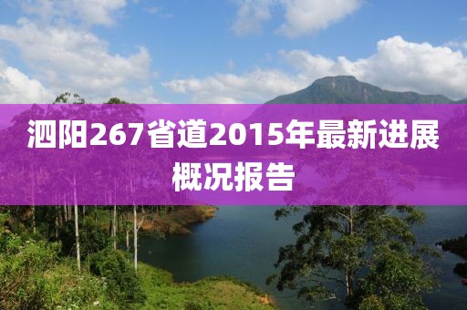 泗阳267省道2015年最新进展概况报告