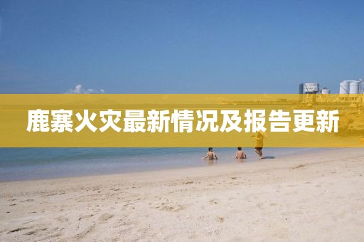 鹿寨火灾最新情况及报告更新