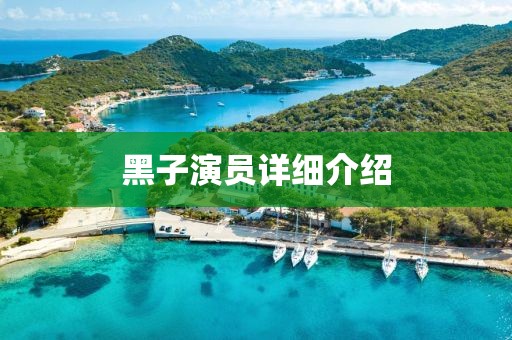 黑子演员详细介绍