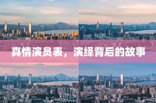 真情演员表，演绎背后的故事