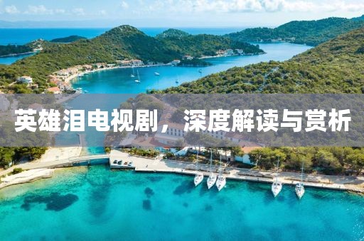英雄泪电视剧，深度解读与赏析