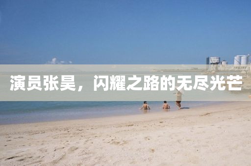演员张昊，闪耀之路的无尽光芒