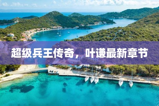 超级兵王传奇，叶谦最新章节
