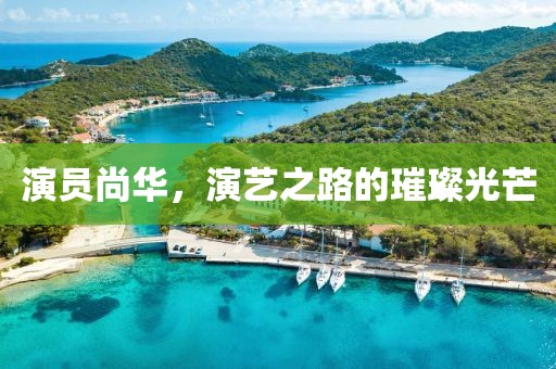 演员尚华，演艺之路的璀璨光芒